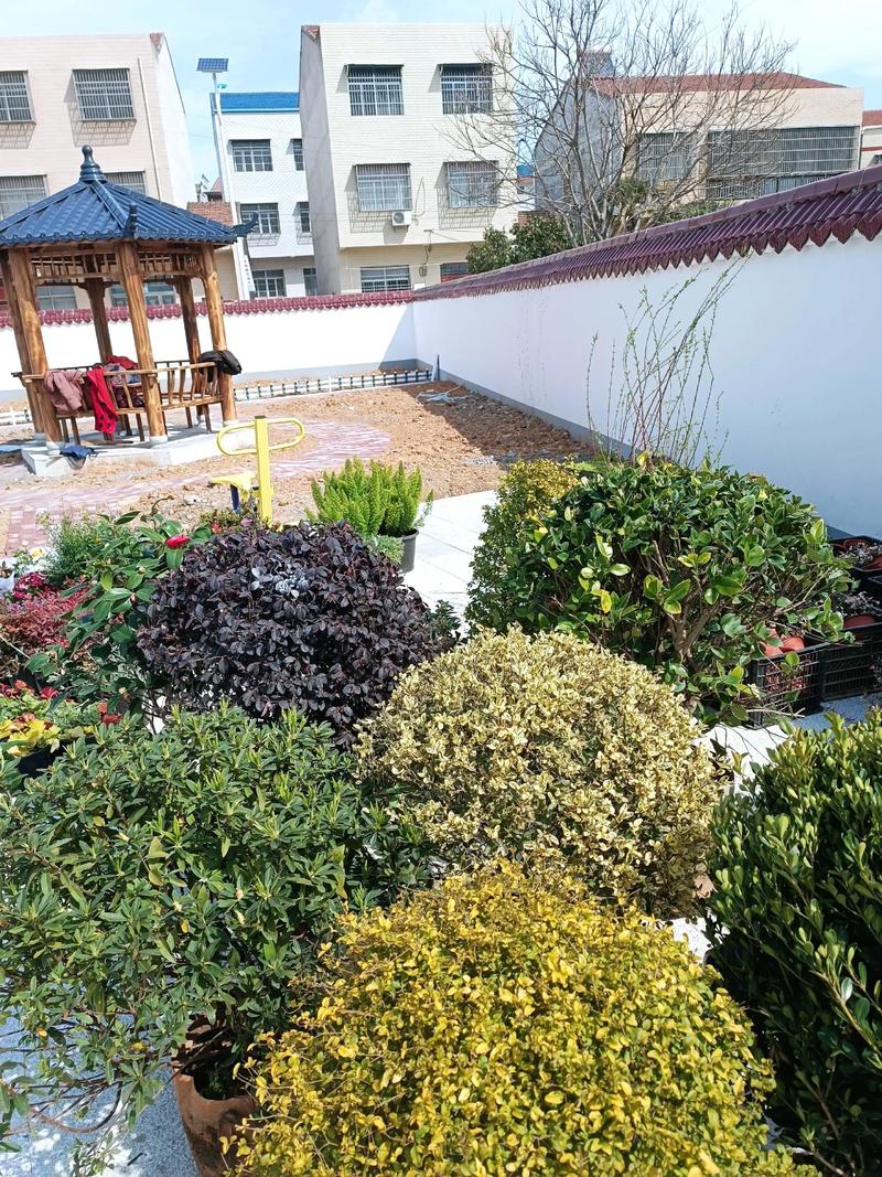 單位綠化施工現(xiàn)場紀實 園林景觀中的假山營造藝術